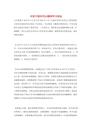 中层干部井冈山精神学习体会