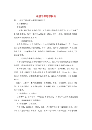 中层干部述职报告