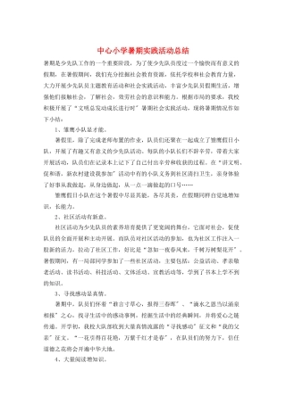 中心小学暑期实践活动总结