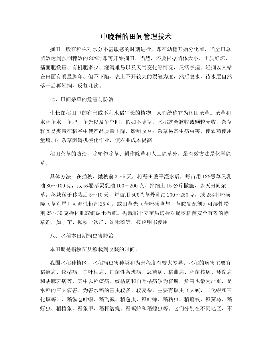 中晚稻的田间管理技术_第1页