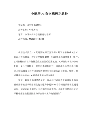 中棉所73杂交棉棉花品种