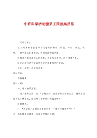 中班科学活动糖果王国教案反思