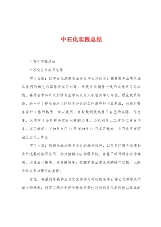 中石化实践总结