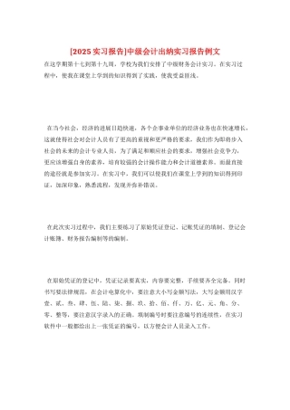 中级会计出纳实习报告例文