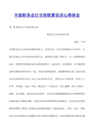 中级财务会计分岗核算实训心得体会