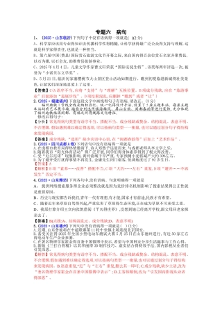 中考专题六  病句