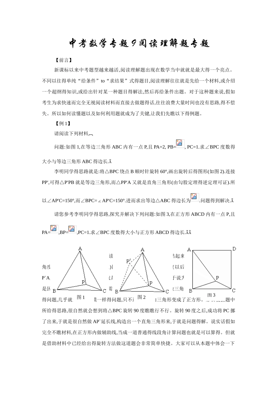中考数学专题阅读理解题专题_第1页