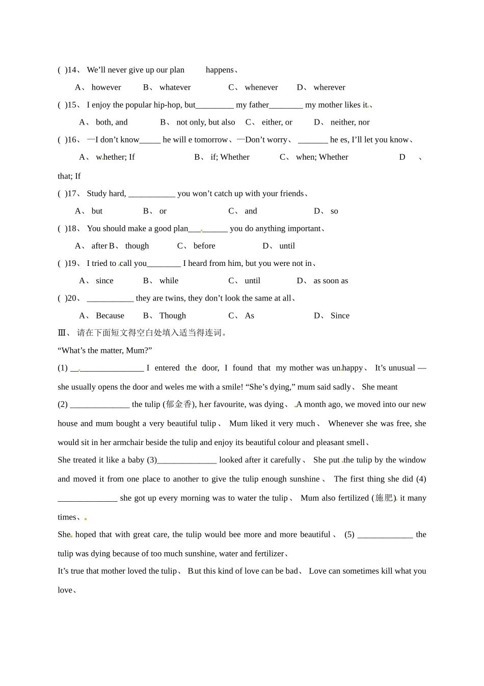 中考英语专题复习连词_第3页