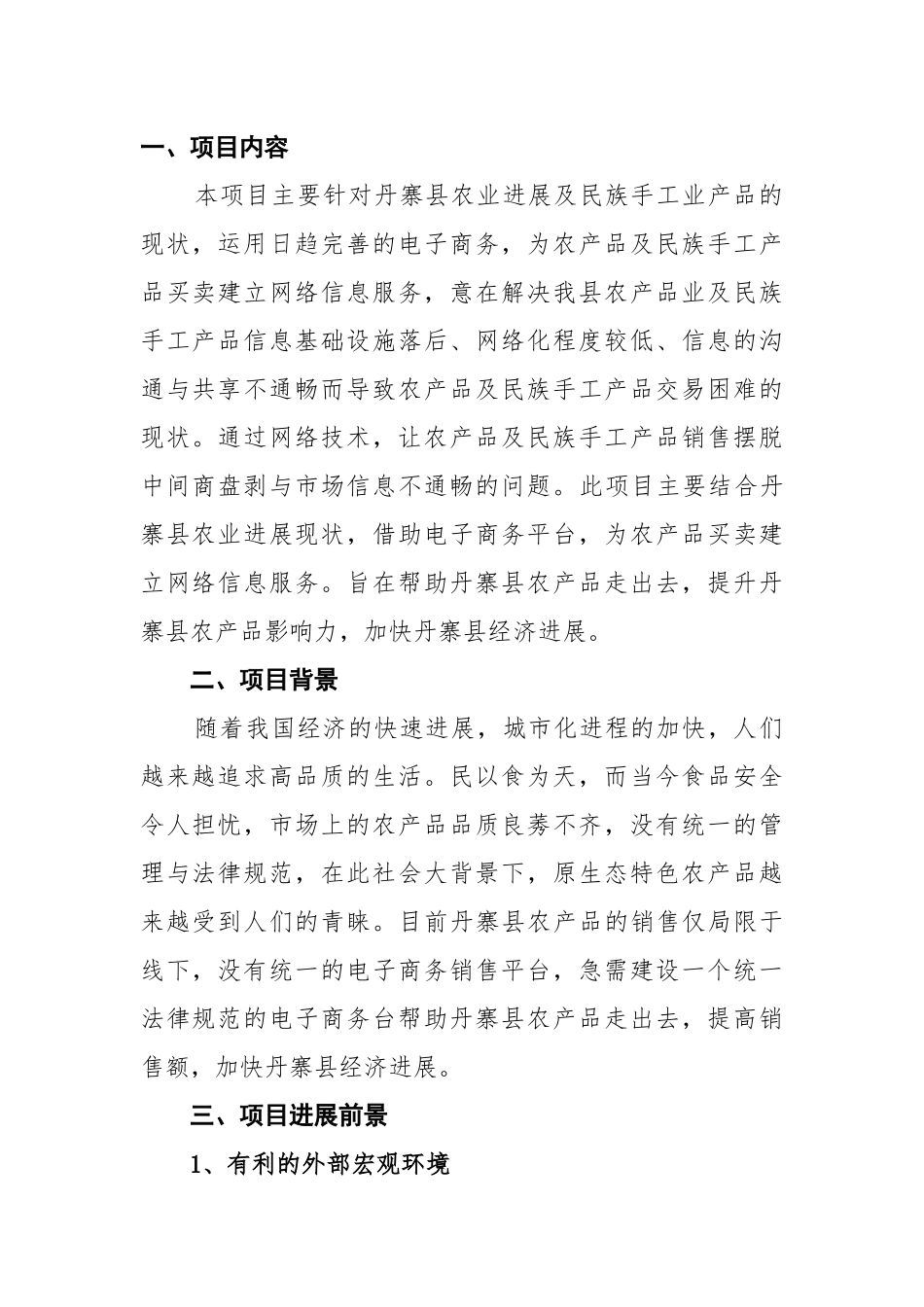 丹寨县农村电子商务创业计划书_第3页