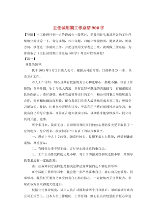 主任试用期工作总结900字