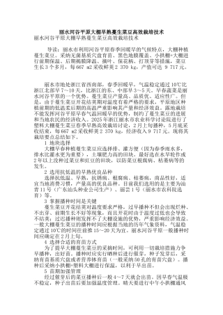 丽水河谷平原大棚早熟蔓生菜豆高效栽培技术