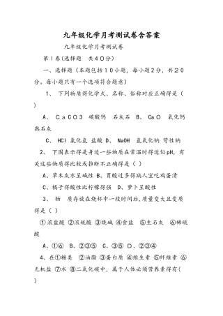 九年级化学月考测试卷含答案