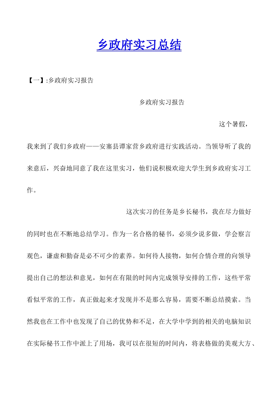 乡政府实习总结_第1页
