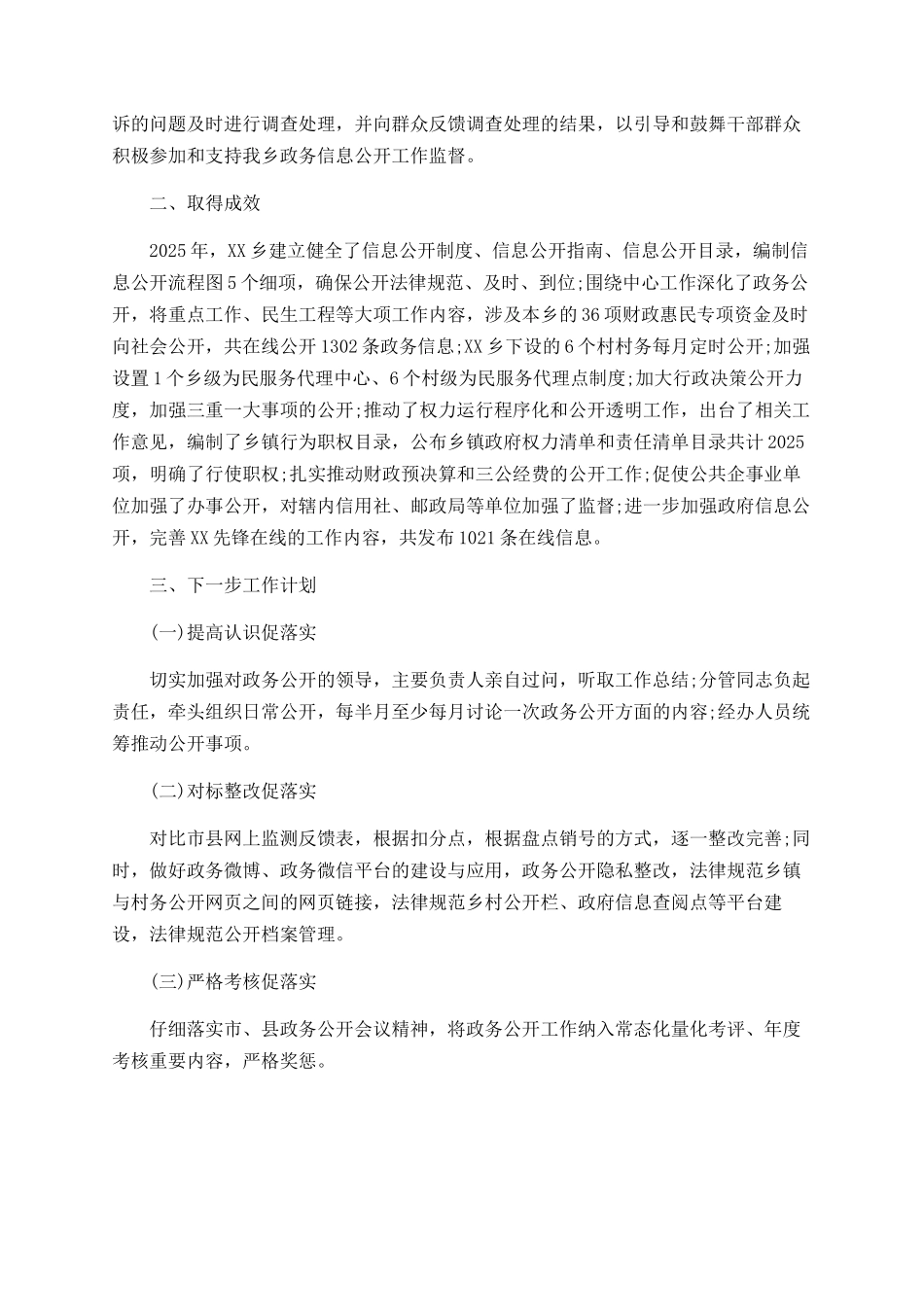 乡村2025年政务公开总结_第3页