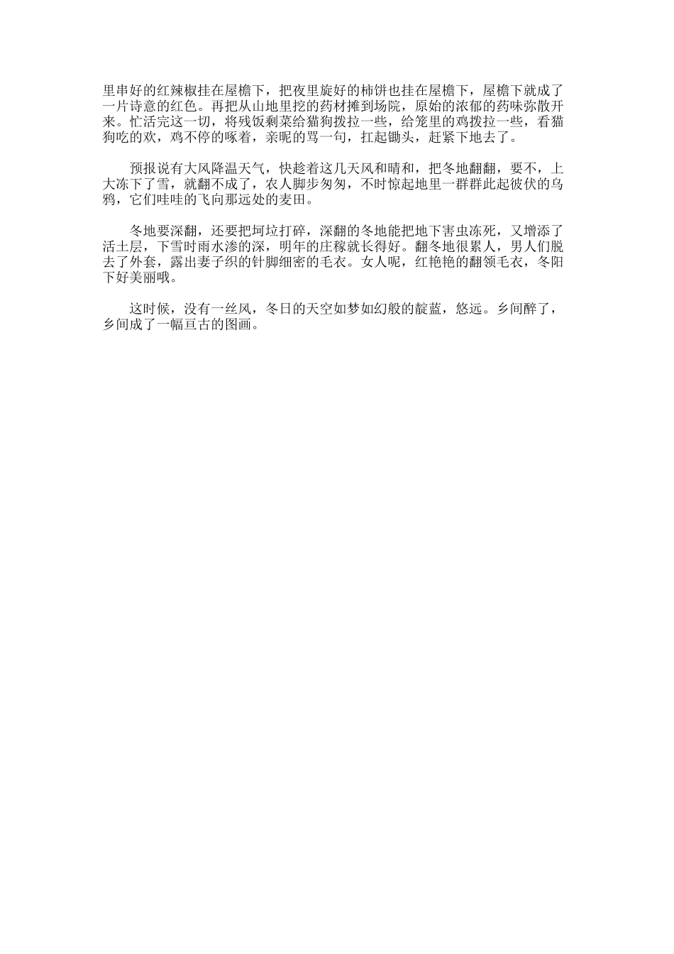 乡村的冬天作文_第3页