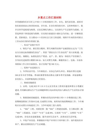 乡重点工作汇报材料