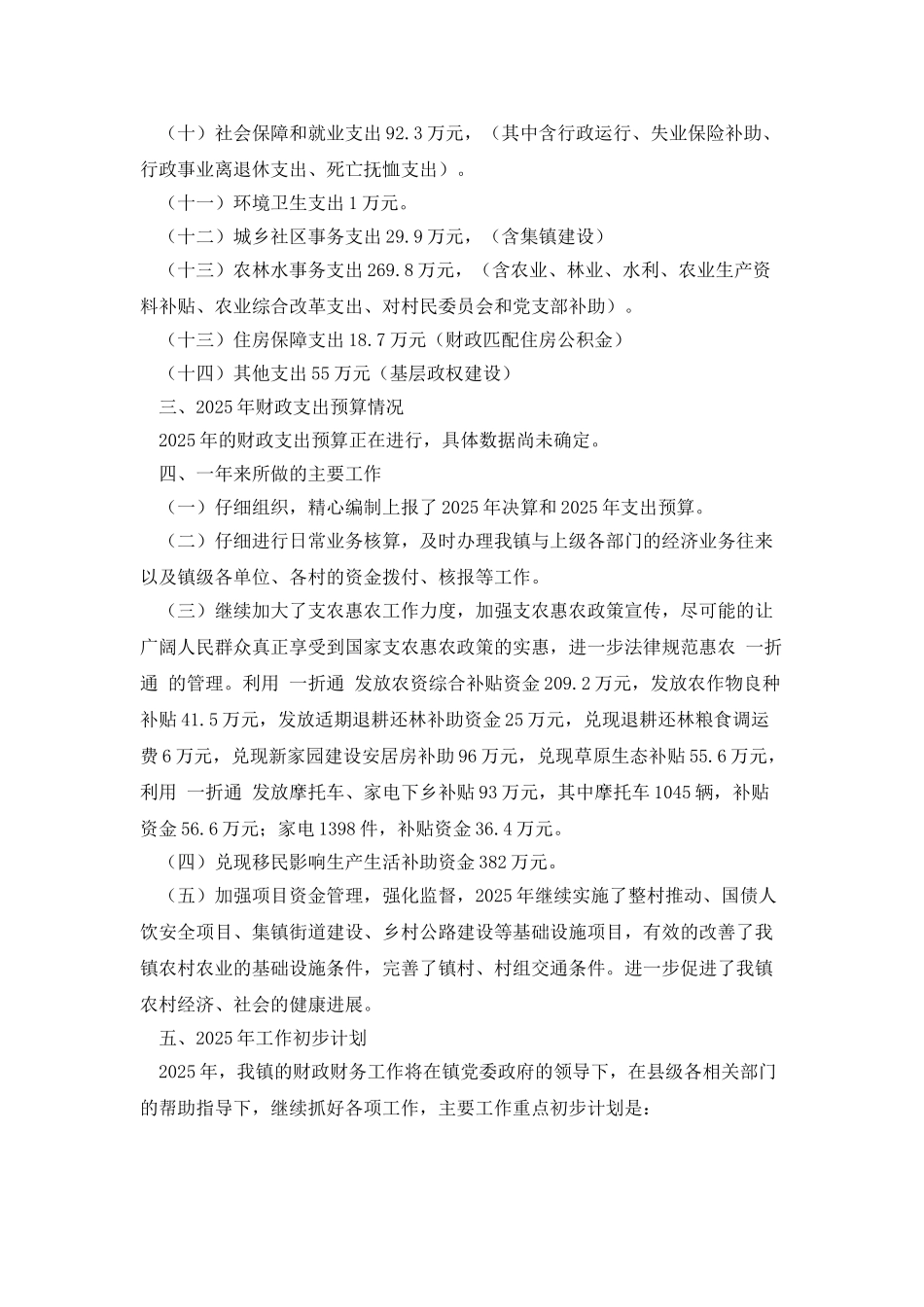 乡镇2025年财政财务收支情况工作报告_第2页