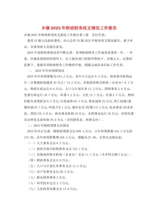 乡镇2025年财政财务收支情况工作报告