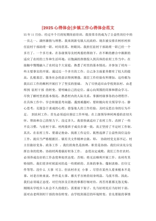 乡镇工作心得体会范文