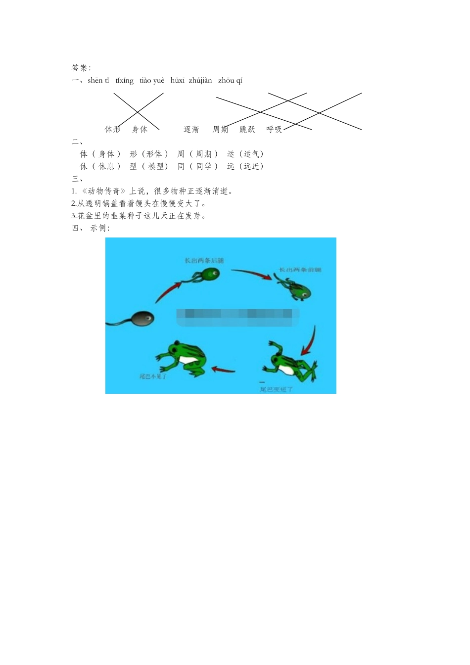 二年级语文下册课文四17智慧鸟信箱同步练习苏教版_第2页
