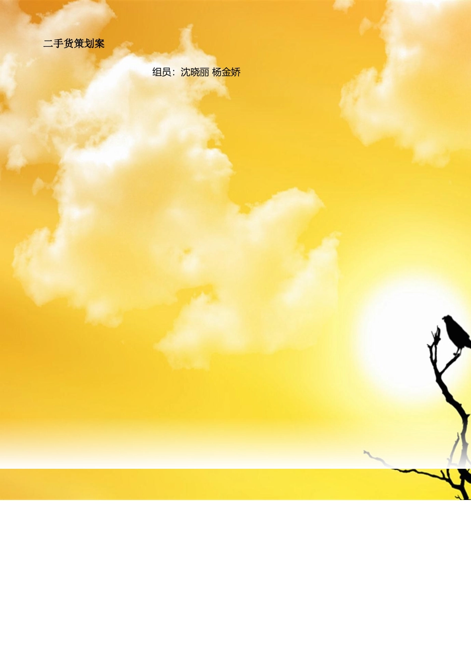 二手货营销策划完整版_第2页
