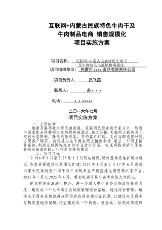 互联网 项目实施方案