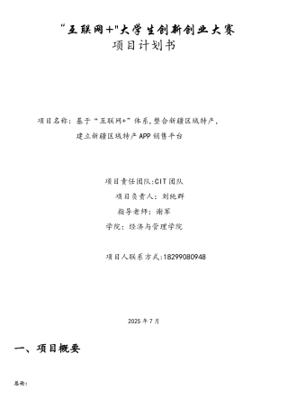 互联网+项目计划书