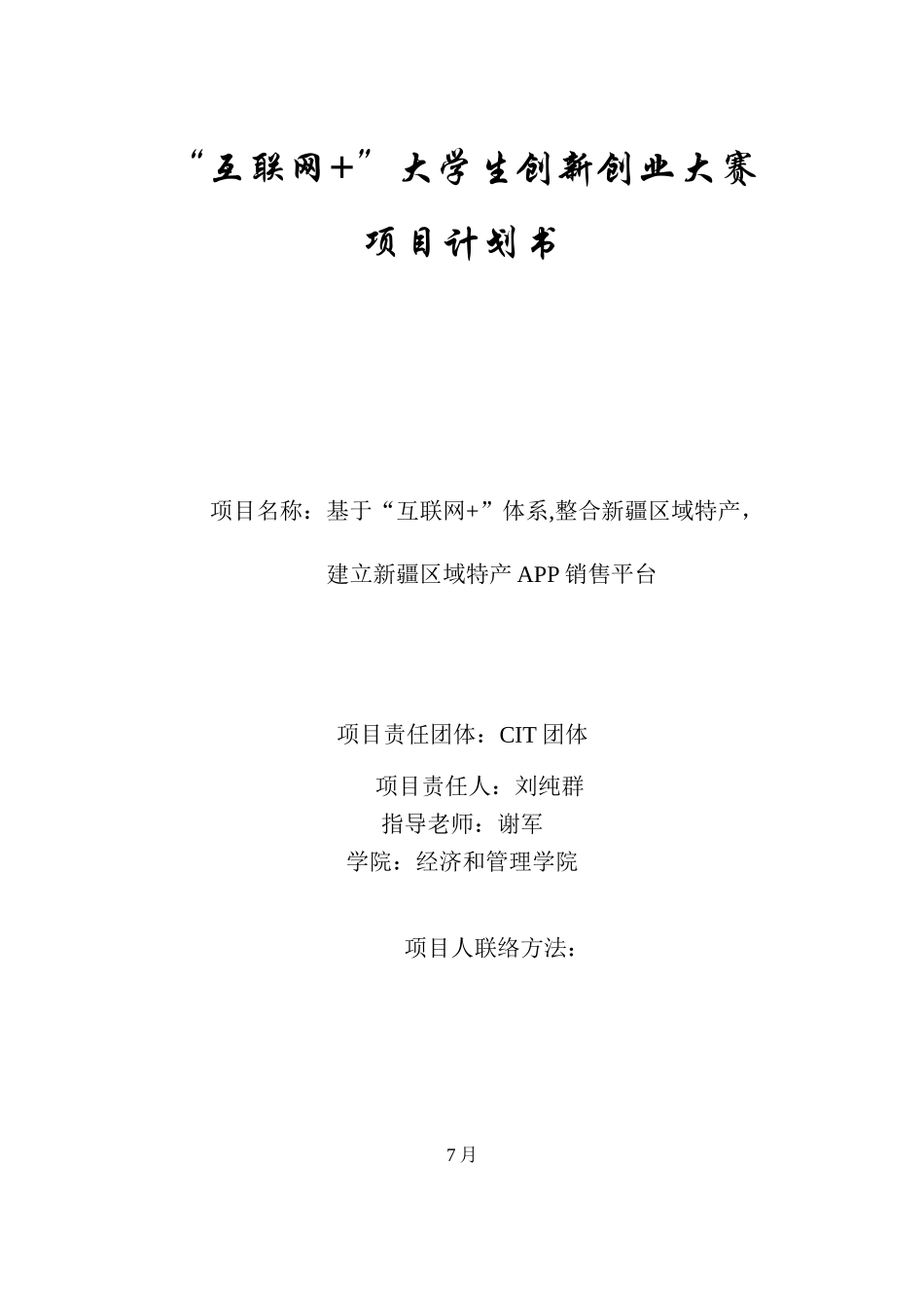 互联网综合项目专题计划书模板_第1页