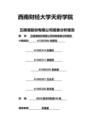 五粮液财务报表分析