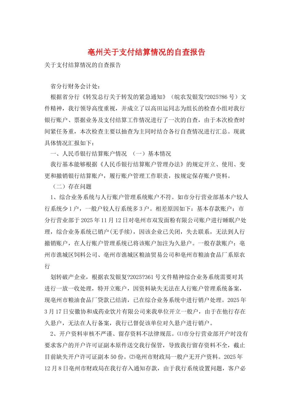 亳州关于支付结算情况的自查报告_第1页
