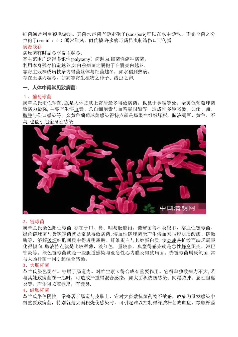 人体各部位常见的致病菌_第3页