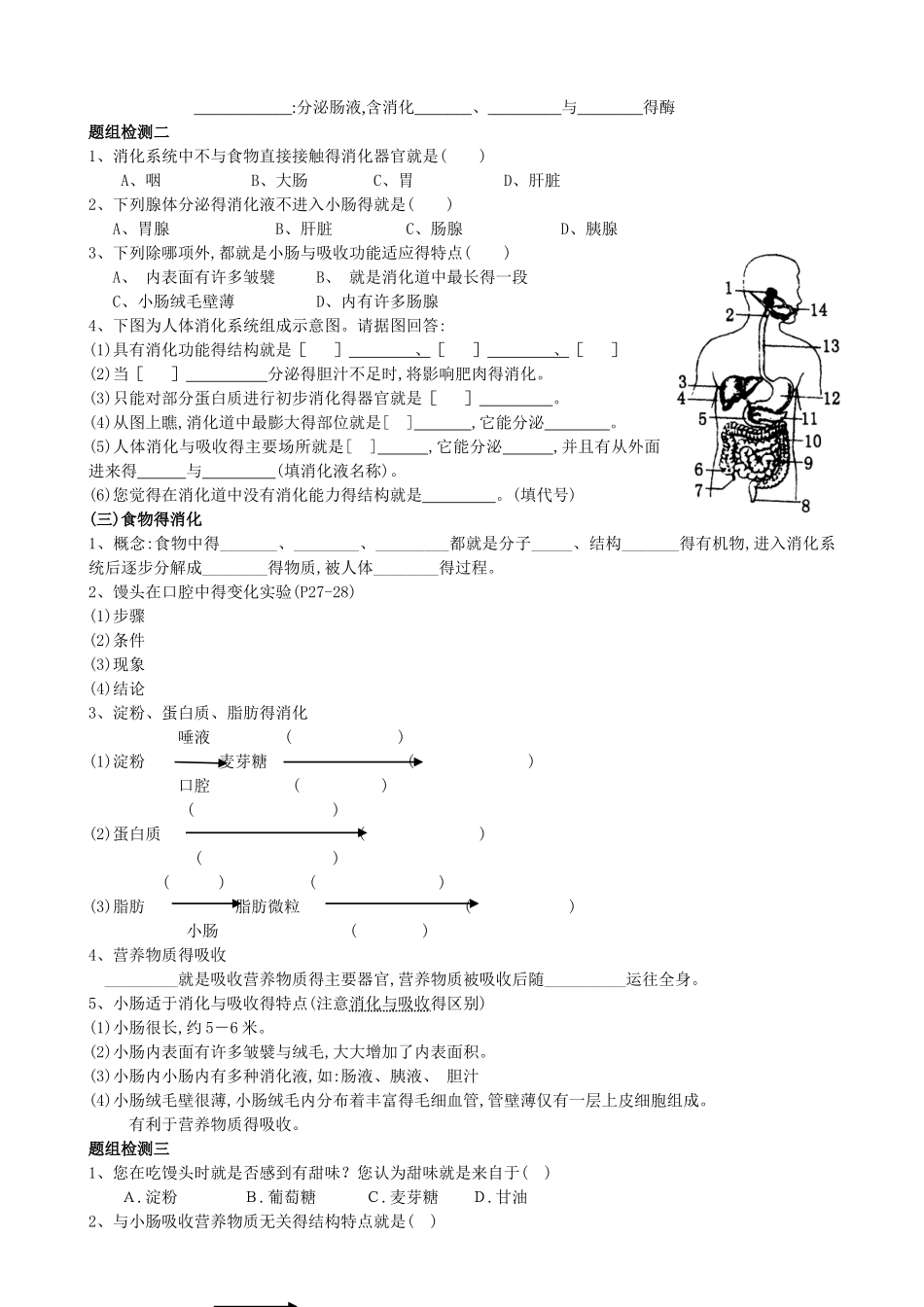 人体的营养复习教案_第2页