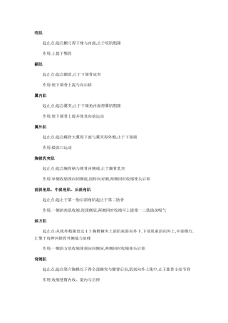 人体解剖学肌肉起止点及作用