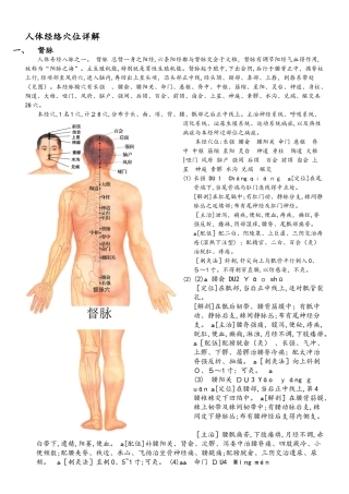 人体经络穴位详解