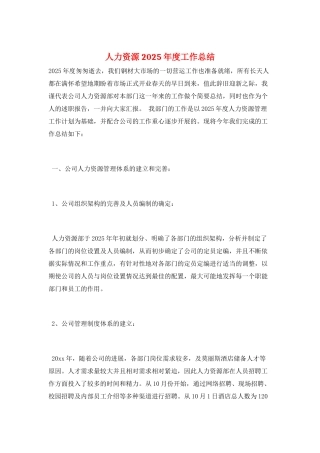 人力资源2025年度工作总结