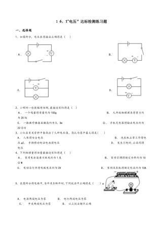 人教版九年级物理全册：16.1“电压”达标检测练习题（无答案）