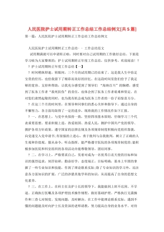 人民医院护士试用期转正工作总结工作总结例文