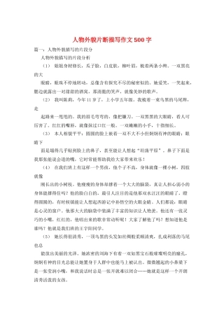 人物外貌片断描写作文500字
