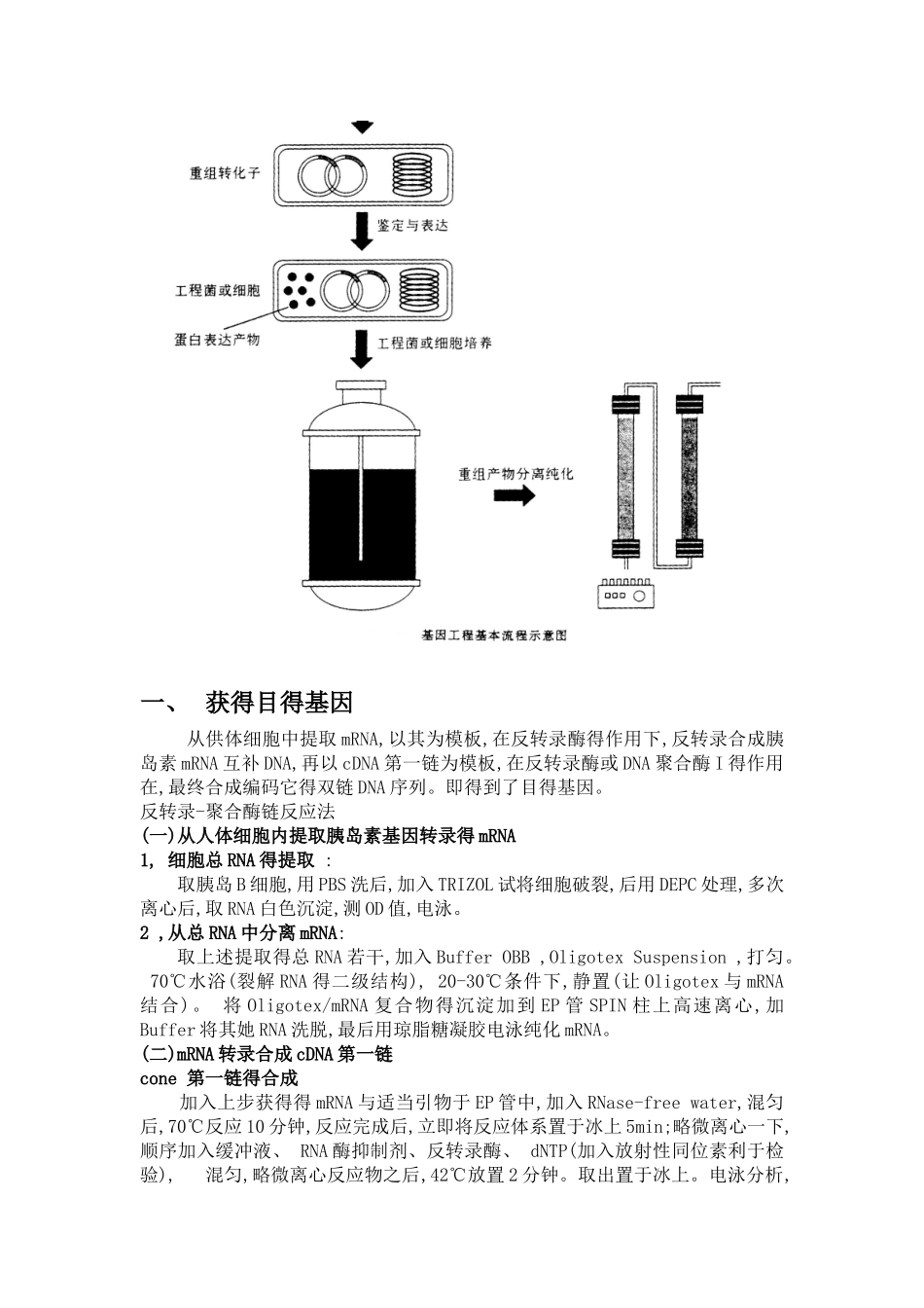人胰岛素的制备_第2页
