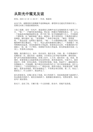 从阳光中窥见友谊