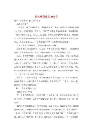 仙人球花作文250字