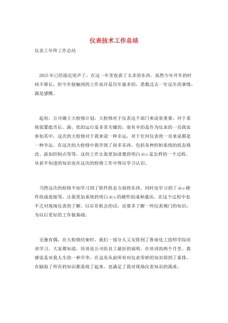 仪表技术工作总结