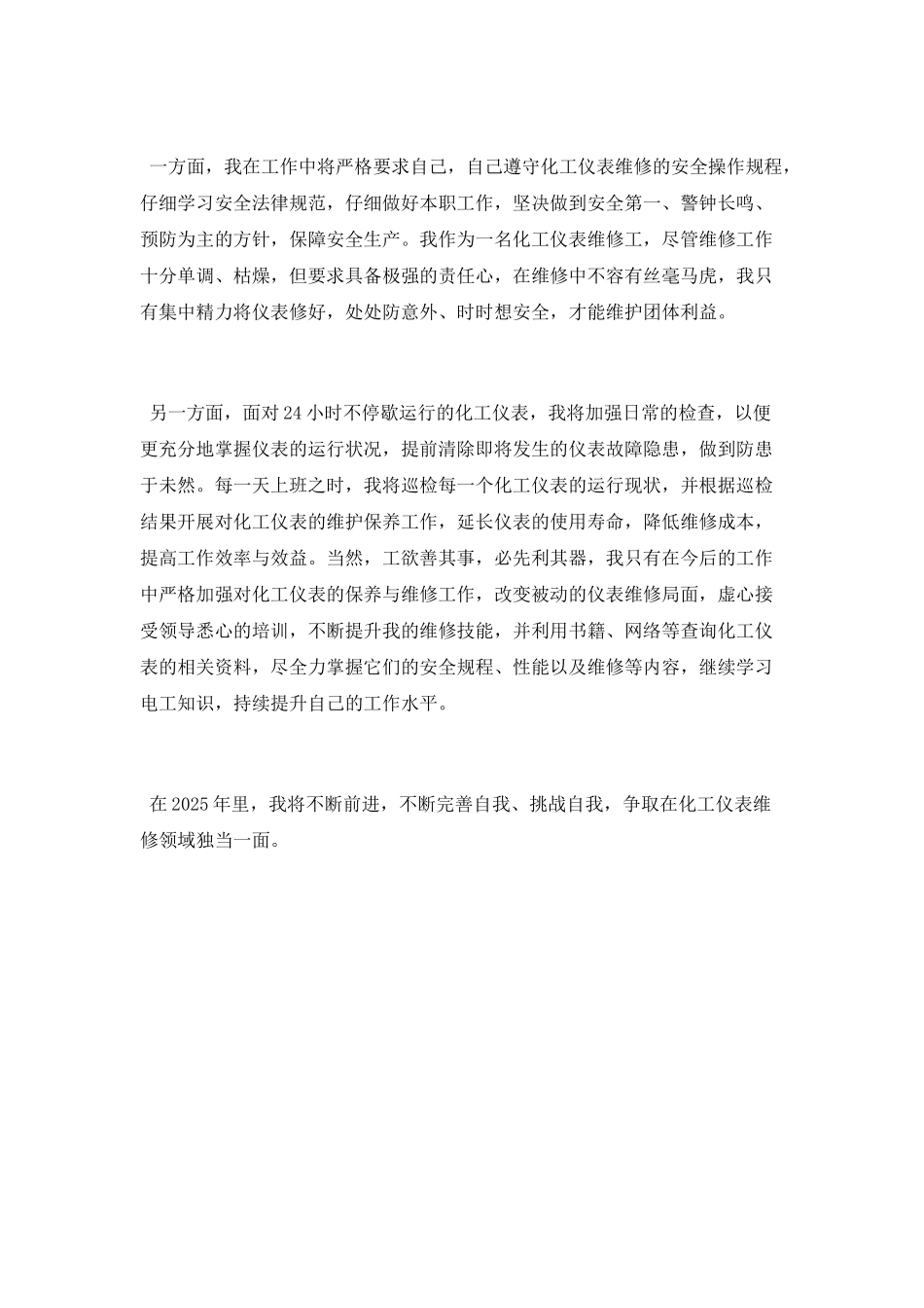 仪表维修工工作总结范文_第2页
