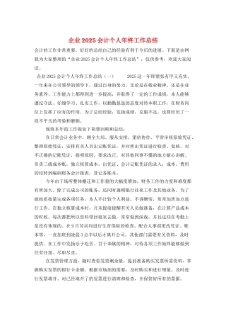 企业2025会计个人年终工作总结