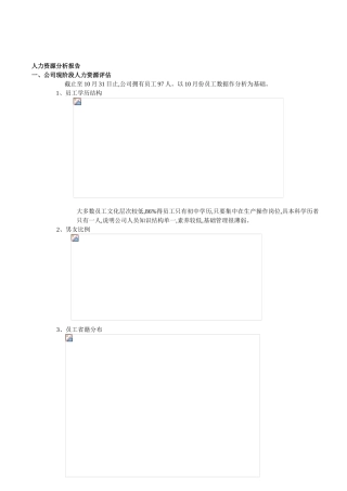 企业人力资源现状分析报告