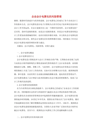 企业会计电算化的风险管理