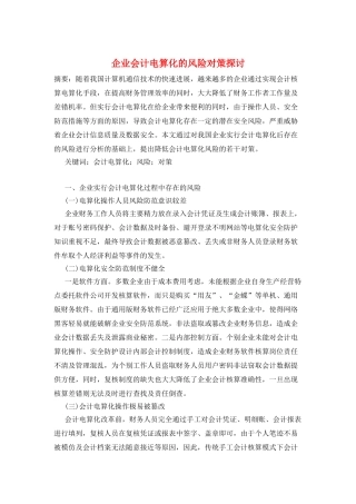 企业会计电算化的风险对策探讨