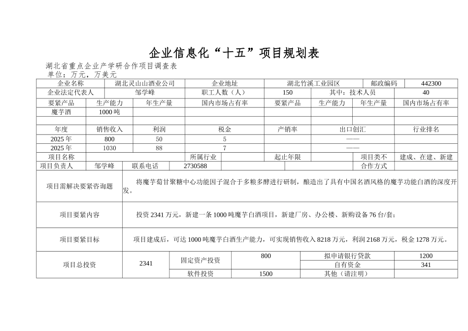 企业信息化“十五”项目规划表_第1页