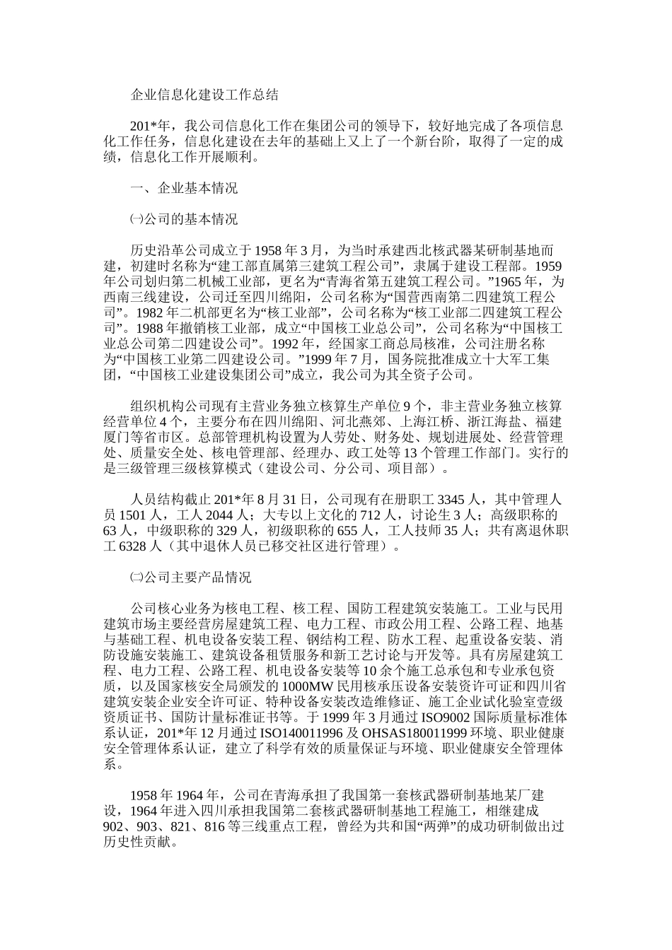 企业信息化建设工作总结_第1页