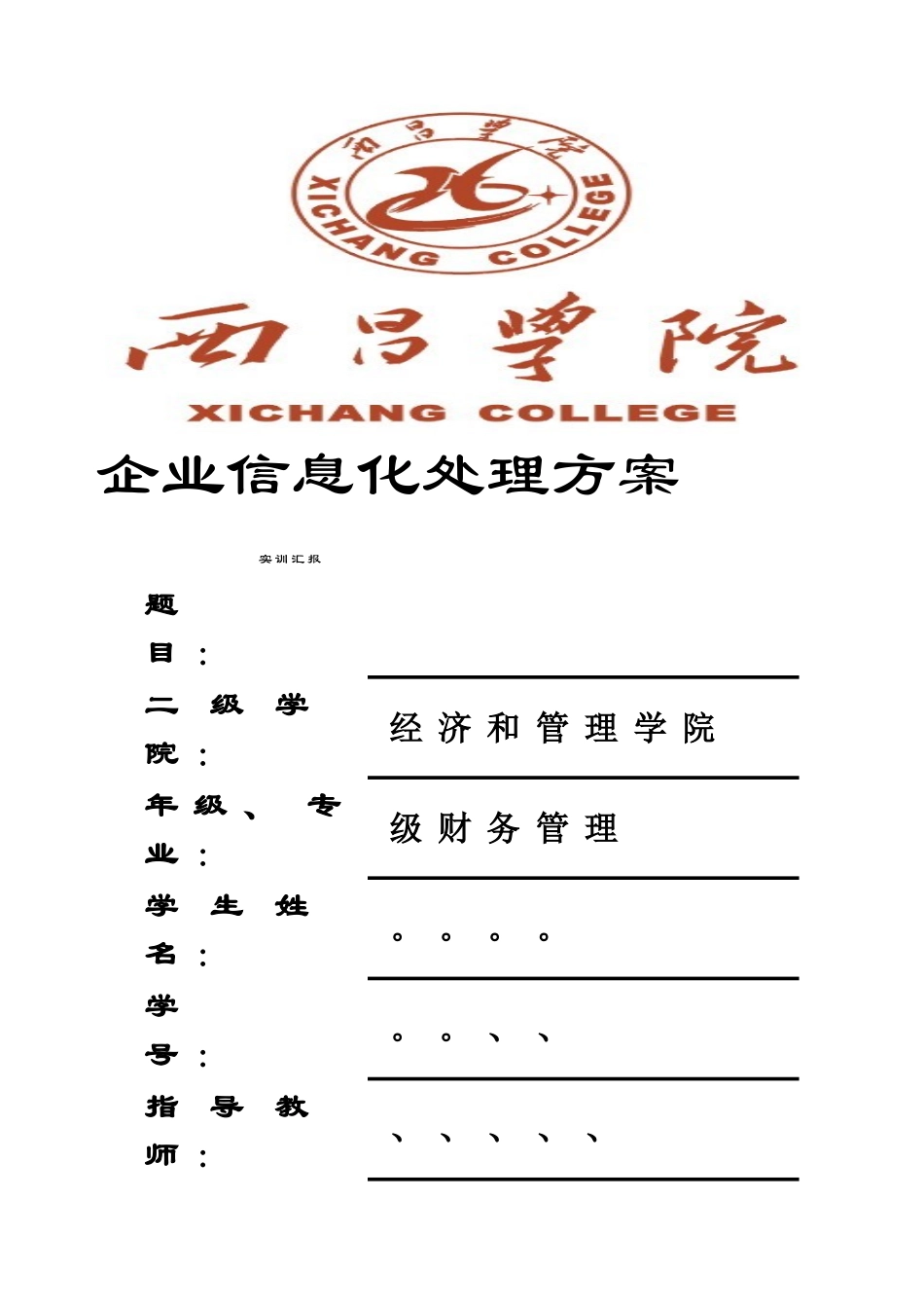 企业信息化解决专项方案实训总结报告用于合并_第1页